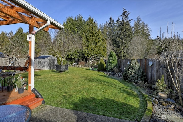 view of yard featuring a storage unit