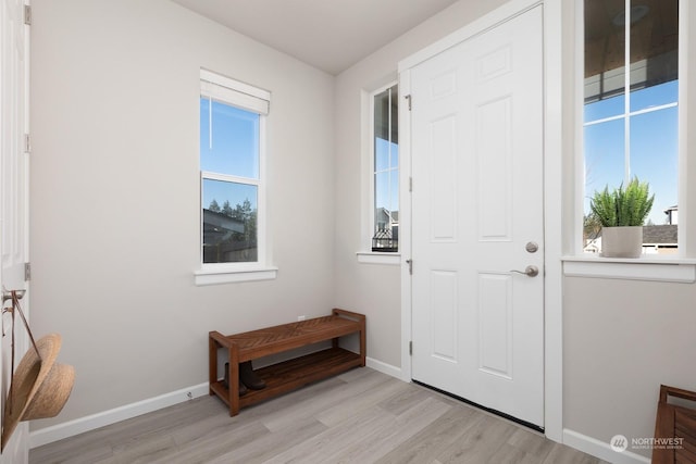 foyer entrance with a wealth of natural light and light hardwood / wood-style floors