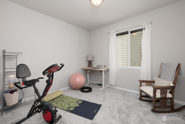 exercise area with carpet