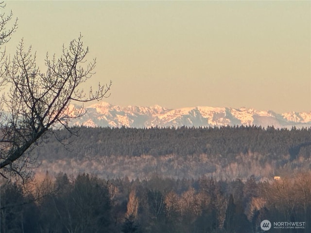 property view of mountains featuring a wooded view