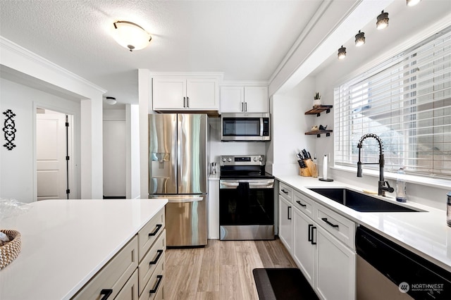 kitchen with white cabinetry, sink, light hardwood / wood-style flooring, and appliances with stainless steel finishes