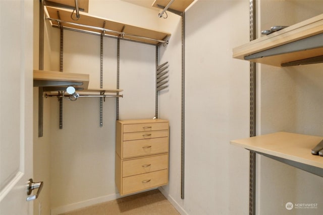 view of walk in closet