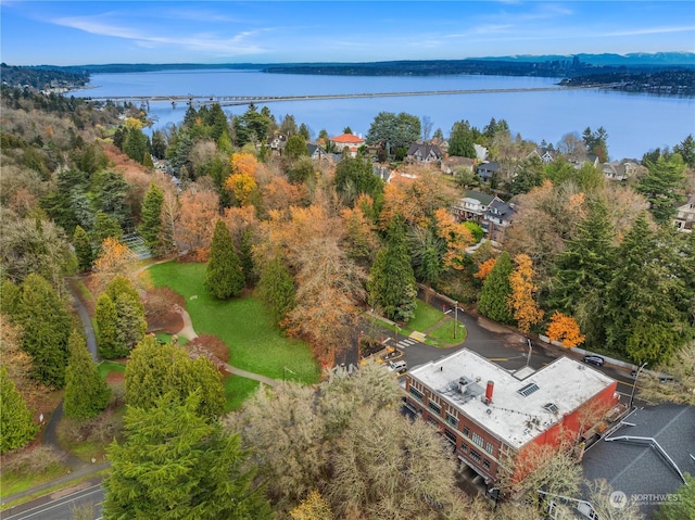 aerial view with a water view