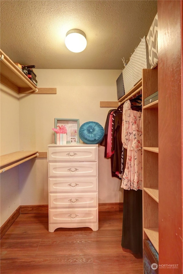 spacious closet with wood-type flooring