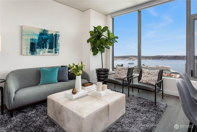 living room featuring hardwood / wood-style flooring, a water view, and a healthy amount of sunlight