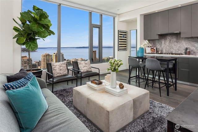 living room featuring a water view and dark hardwood / wood-style flooring