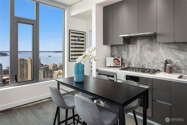 kitchen featuring a water view, appliances with stainless steel finishes, hardwood / wood-style floors, and gray cabinetry