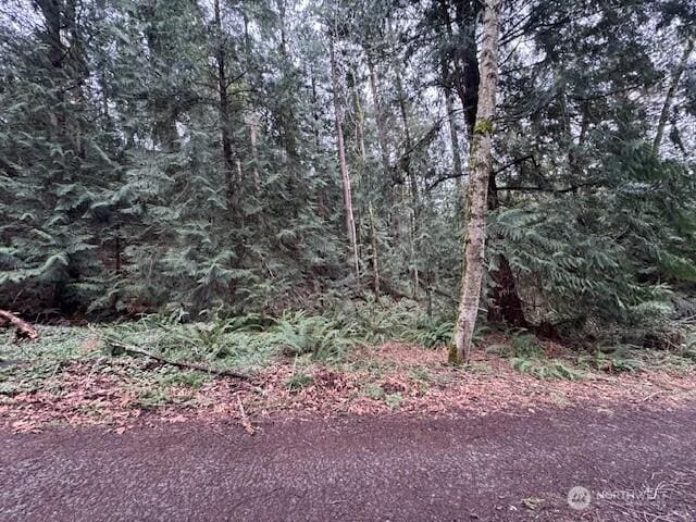 0 207th Pl NE, Sammamish WA, 98074 land for sale