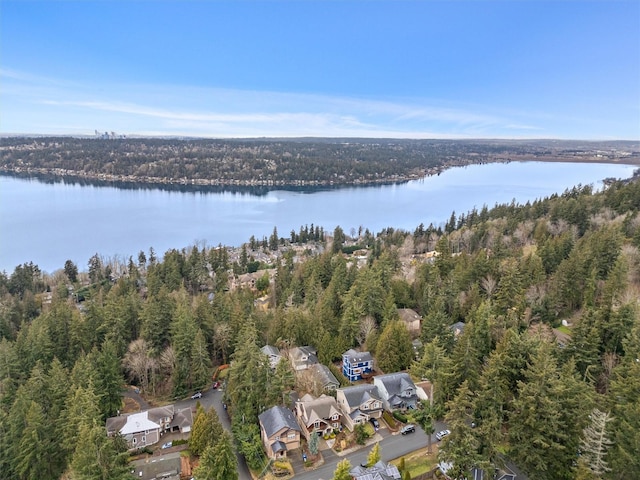 0 207th Pl NE, Sammamish, WA 98074