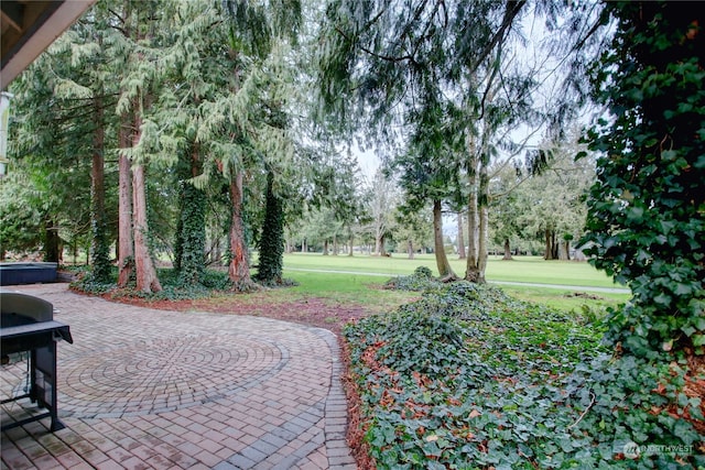 view of property's community with a lawn and a patio