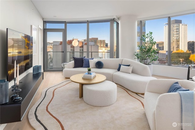 living room featuring floor to ceiling windows, a healthy amount of sunlight, and light hardwood / wood-style floors