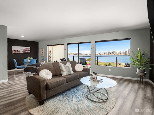 living room with a water view and hardwood / wood-style floors