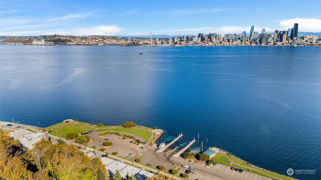 drone / aerial view featuring a water view