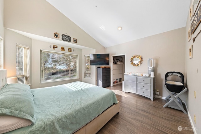 bedroom featuring lofted ceiling, a walk in closet, and dark wood-type flooring