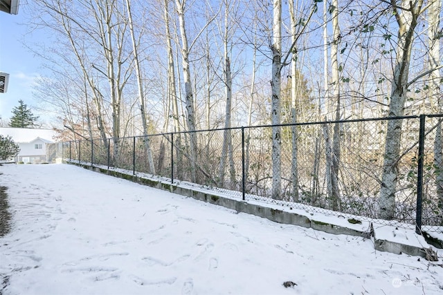 view of yard covered in snow