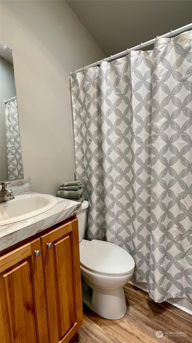 545 Hendricks St Unit 21A, Port Townsend, WA 98368 - bathroom featuring wood-type flooring, toilet, and vanity
