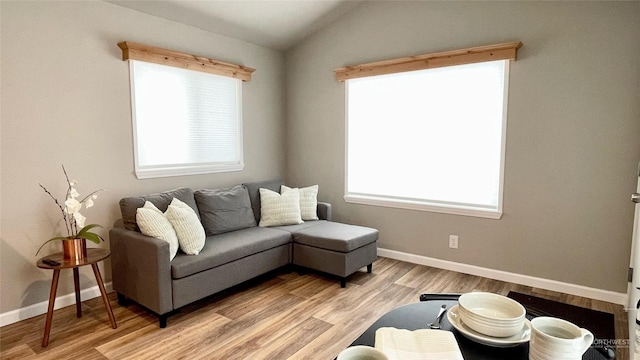 545 Hendricks St Unit 21A, Port Townsend, WA 98368 - living room with vaulted ceiling and light wood-type flooring