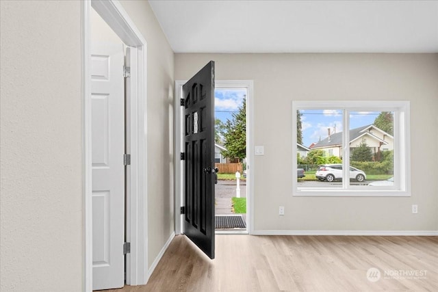 foyer entrance with light hardwood / wood-style flooring and a wealth of natural light