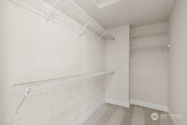 spacious closet with carpet