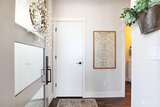 foyer with dark wood-type flooring