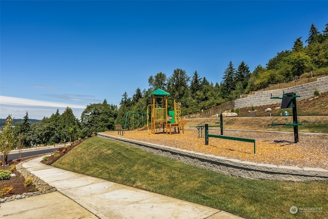 view of jungle gym