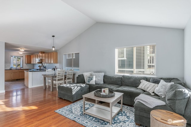 living room featuring hardwood / wood-style flooring and high vaulted ceiling