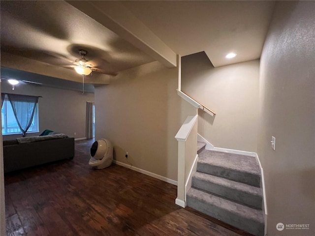 staircase with hardwood / wood-style floors and ceiling fan