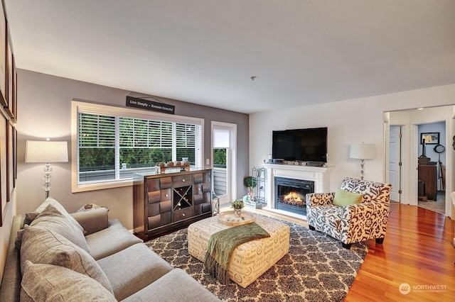 living room featuring hardwood / wood-style floors