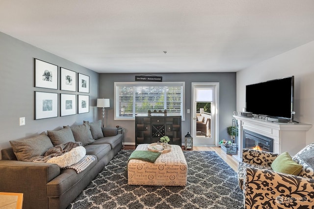 living room with wood-type flooring