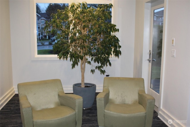 sitting room featuring dark wood-type flooring