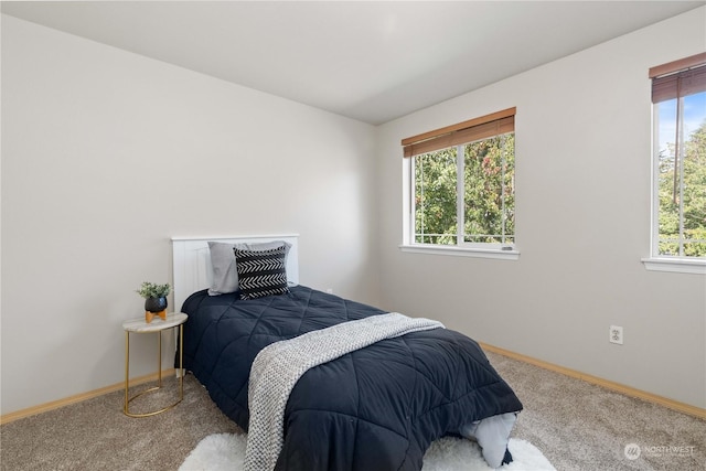 bedroom with carpet