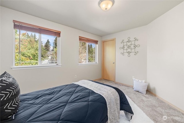 carpeted bedroom featuring multiple windows