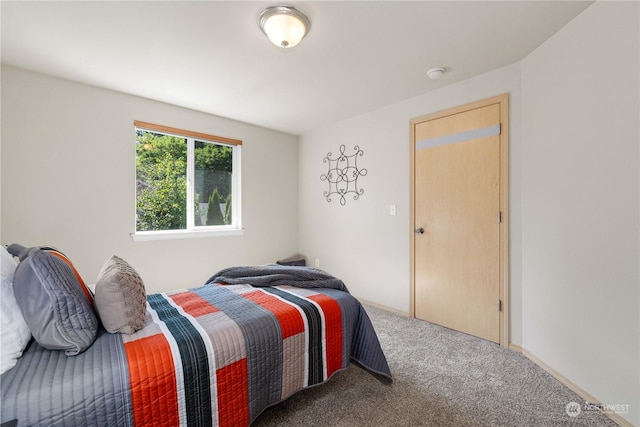 bedroom with carpet flooring