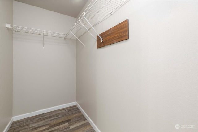 spacious closet with dark hardwood / wood-style flooring