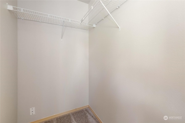 spacious closet with carpet floors