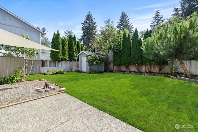 view of yard with a patio area and a storage shed