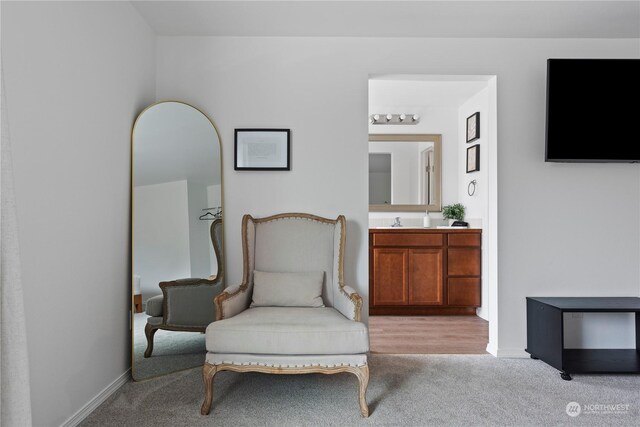 sitting room with sink and light colored carpet