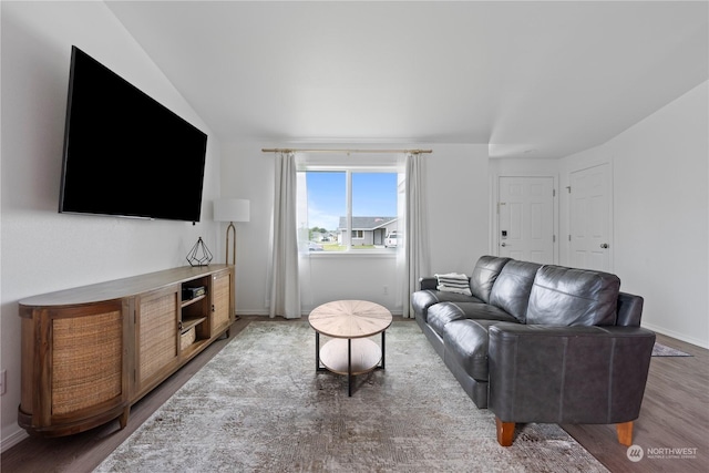 living room featuring hardwood / wood-style floors