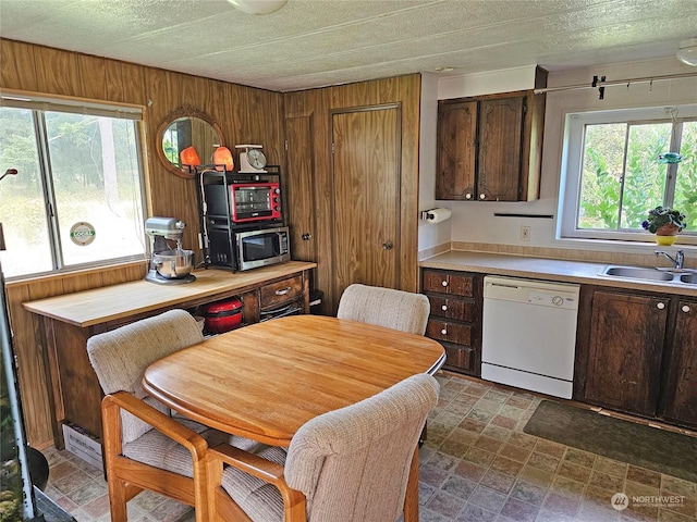 kitchen featuring dishwasher, sink, dark brown cabinetry, and wood walls