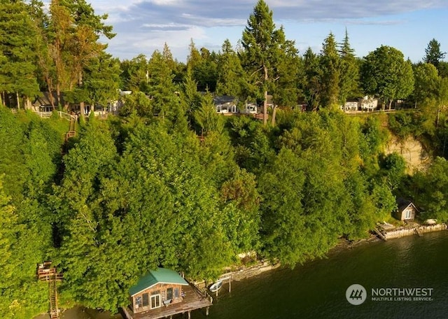 aerial view with a water view