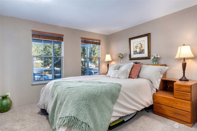 bedroom featuring carpet