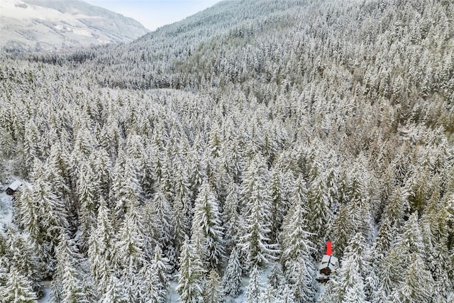 bird's eye view with a mountain view