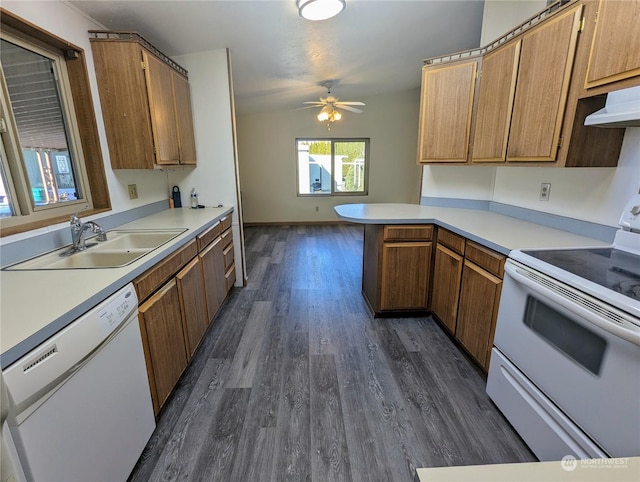 kitchen featuring sink, white appliances, ceiling fan, dark hardwood / wood-style floors, and kitchen peninsula