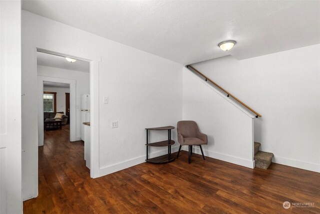 living area with dark hardwood / wood-style floors