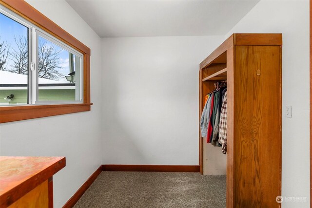 walk in closet featuring carpet flooring