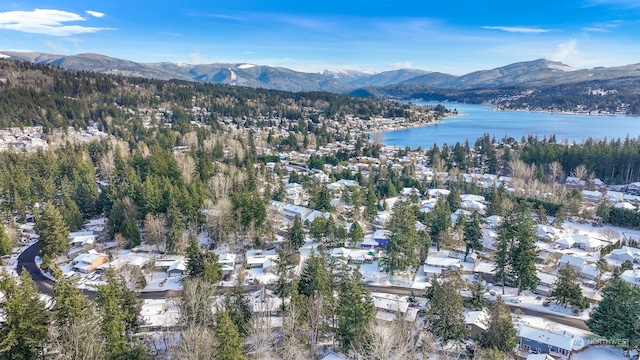 birds eye view of property featuring a water and mountain view