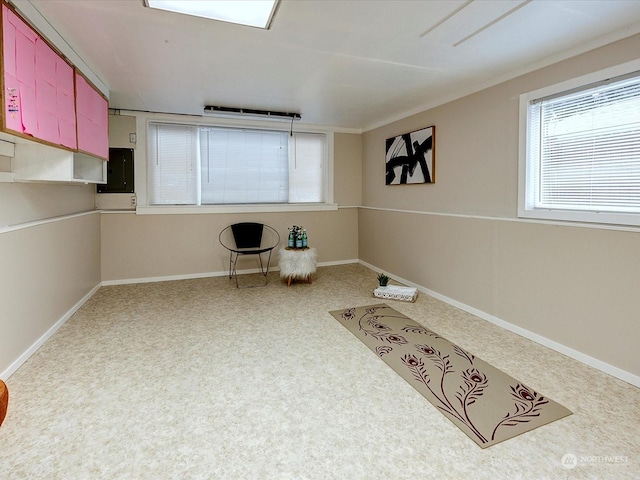 interior space featuring carpet