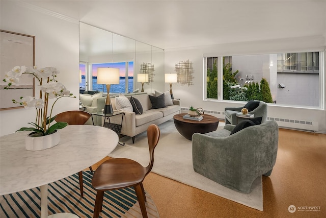 1600 43rd Ave E Unit 204, Seattle, WA 98112 - living room with a baseboard radiator and a water view