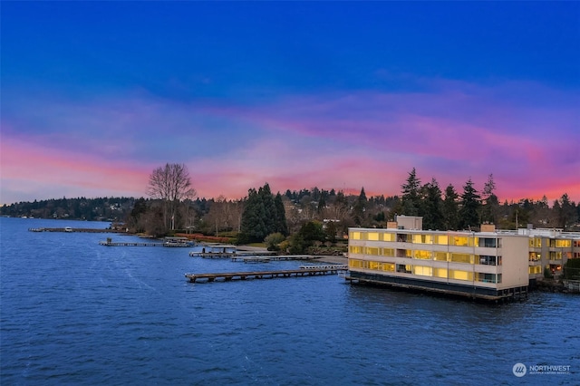 1600 43rd Ave E Unit 204, Seattle, WA 98112 - view of water feature