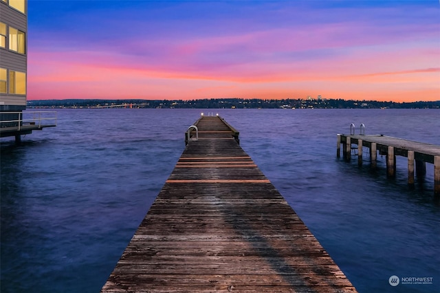 1600 43rd Ave E Unit 204, Seattle, WA 98112 - view of dock featuring a water view